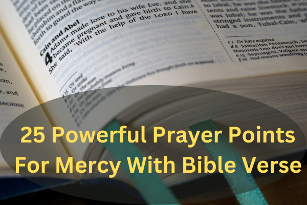 25 Powerful Prayer Points For Mercy With Bible Verse