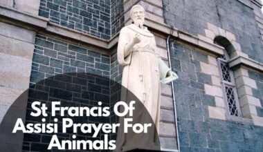 St Francis Of Assisi Prayer For Animals