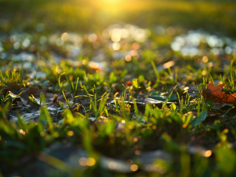 Christian Morning Prayer For Today