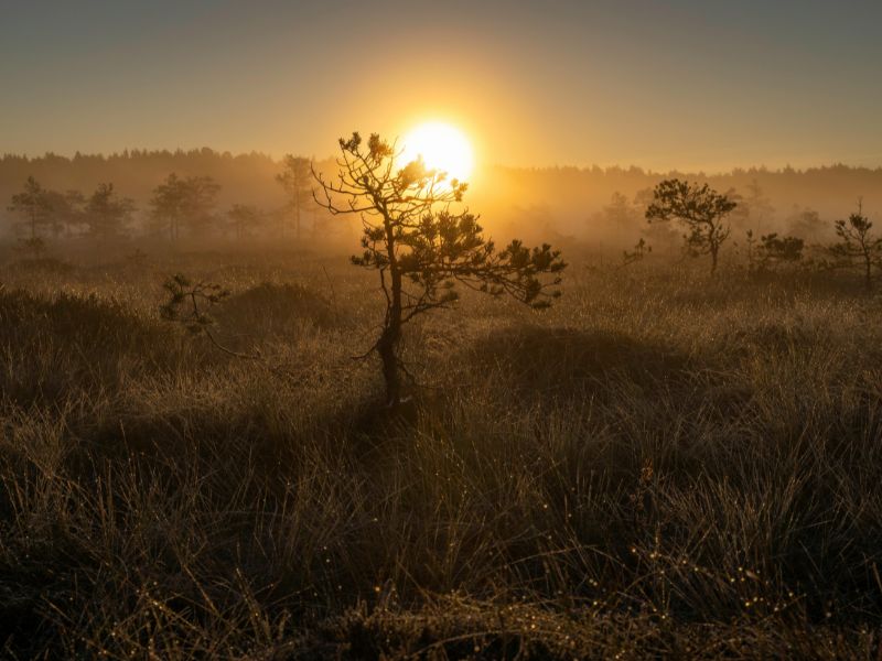 Christian Morning Prayer For Today