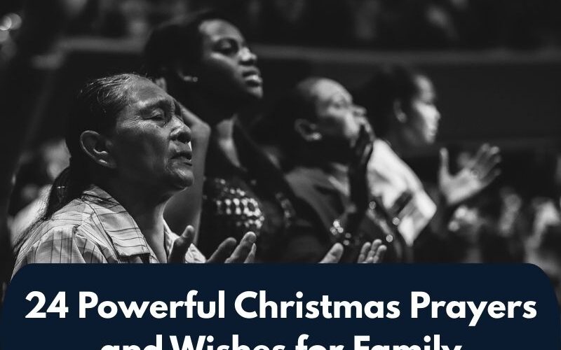 20 Best Christmas Prayer Before Meal Catholic Edition