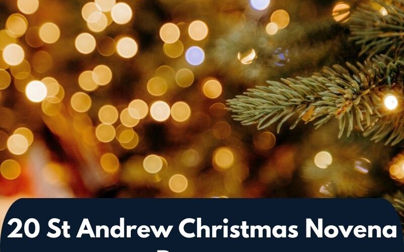 20 St Andrew Christmas Novena Prayers